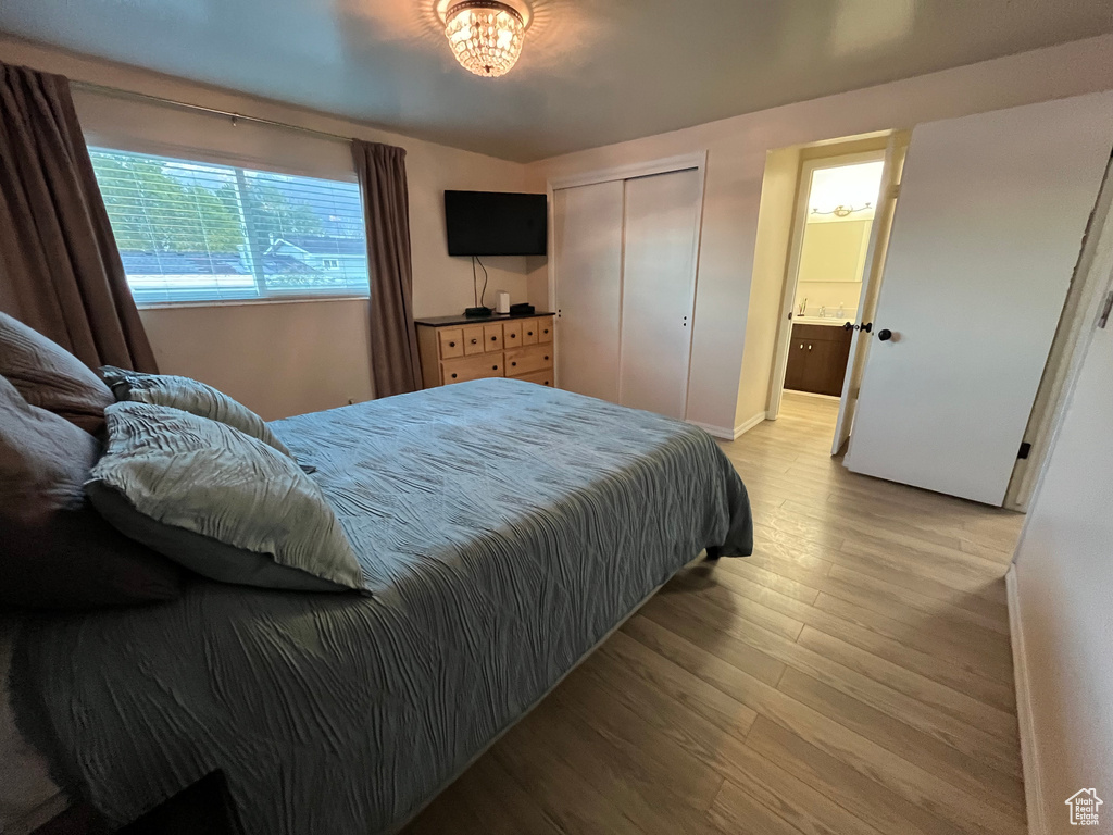 Bedroom with ensuite bath and light hardwood / wood-style flooring