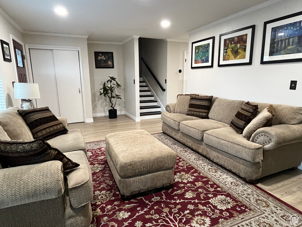 Living room featuring light hardwood / wood-style floors and ornamental molding