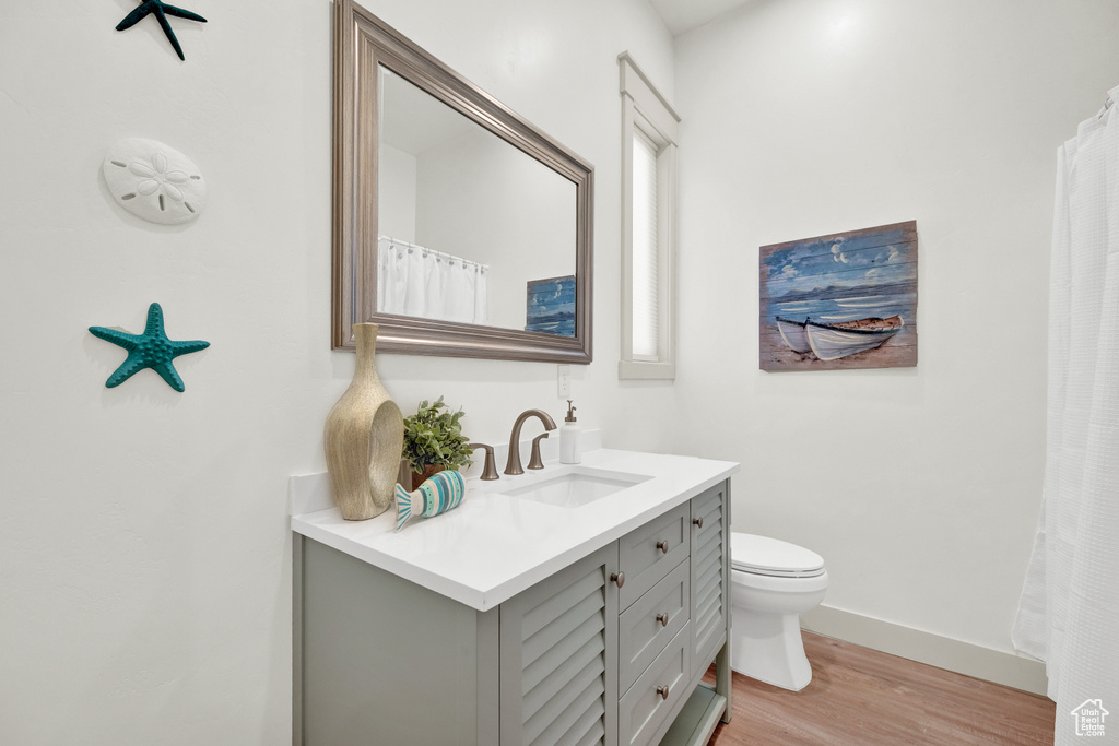 Bathroom featuring vanity, wood-type flooring, and toilet