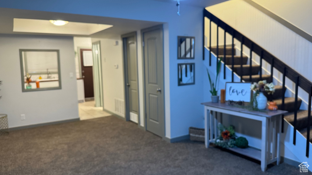 Interior space featuring carpet flooring