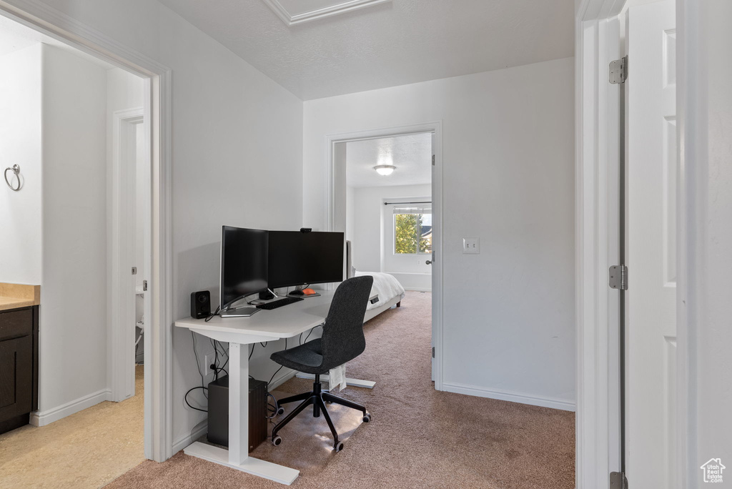 View of carpeted office