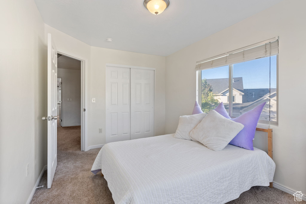 Carpeted bedroom with a closet and a mountain view