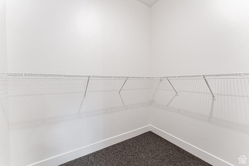 Spacious closet with dark carpet