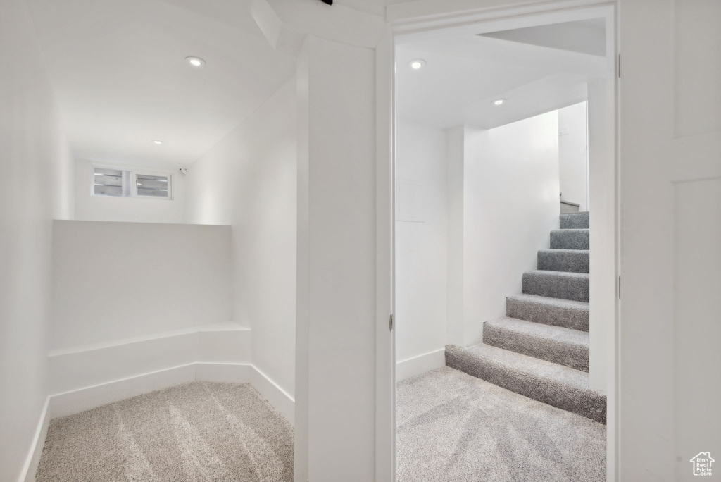 Stairs with carpet floors