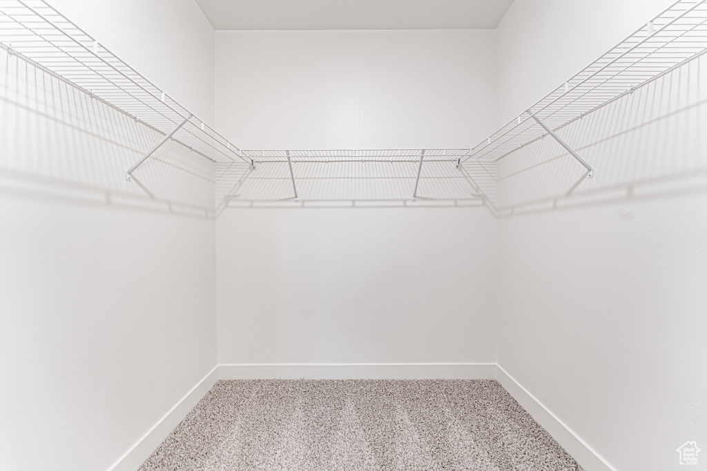 Spacious closet featuring carpet flooring