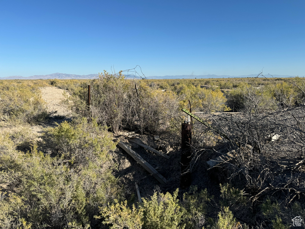 View of local wilderness