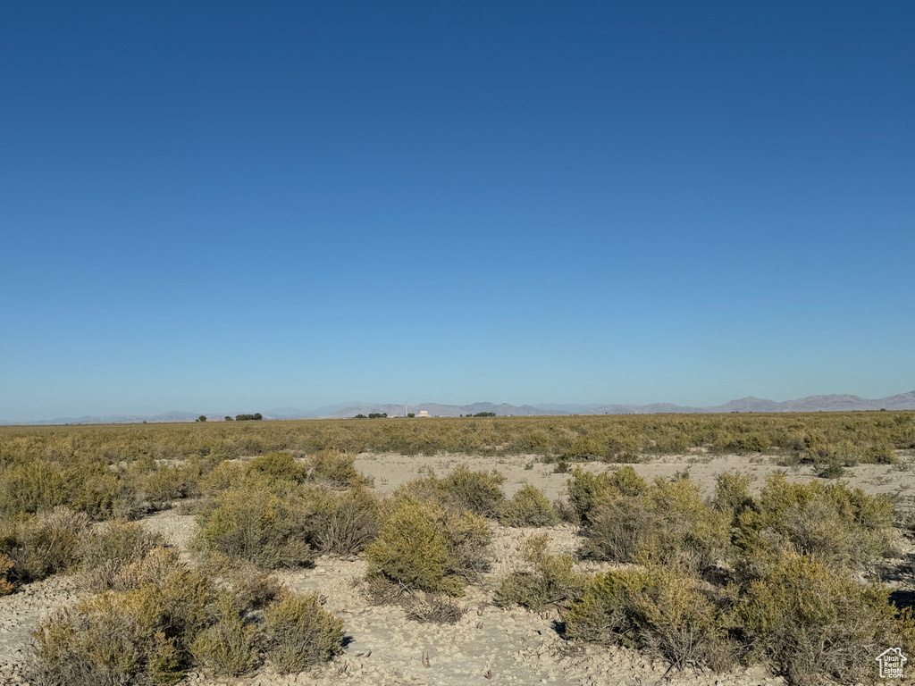 View of local wilderness featuring a mountain view