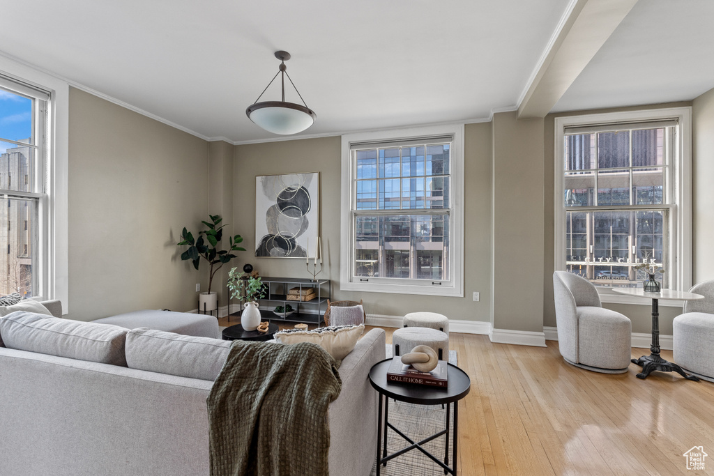 Living room with light hardwood / wood-style flooring and ornamental molding