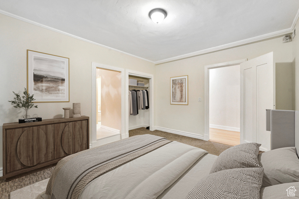 Carpeted bedroom with a closet, ornamental molding, and connected bathroom