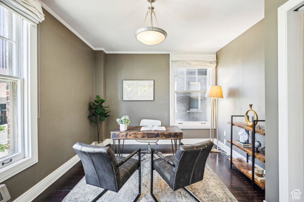 Office space with a wealth of natural light, ornamental molding, and dark wood-type flooring