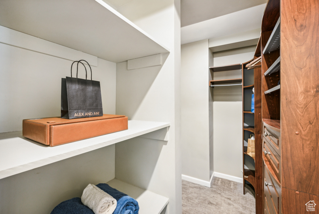 Spacious closet featuring light colored carpet