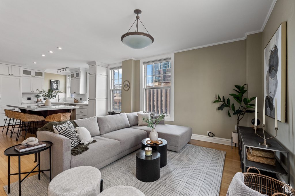 Living room with ornamental molding and light hardwood / wood-style floors
