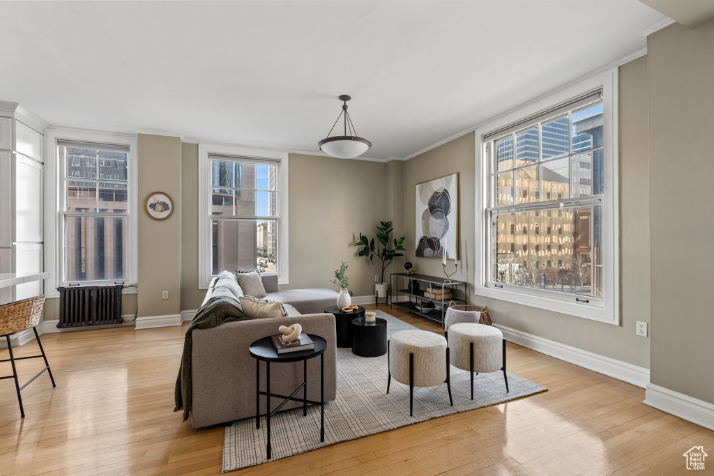 Living room featuring crown molding, radiator, and light hardwood / wood-style floors