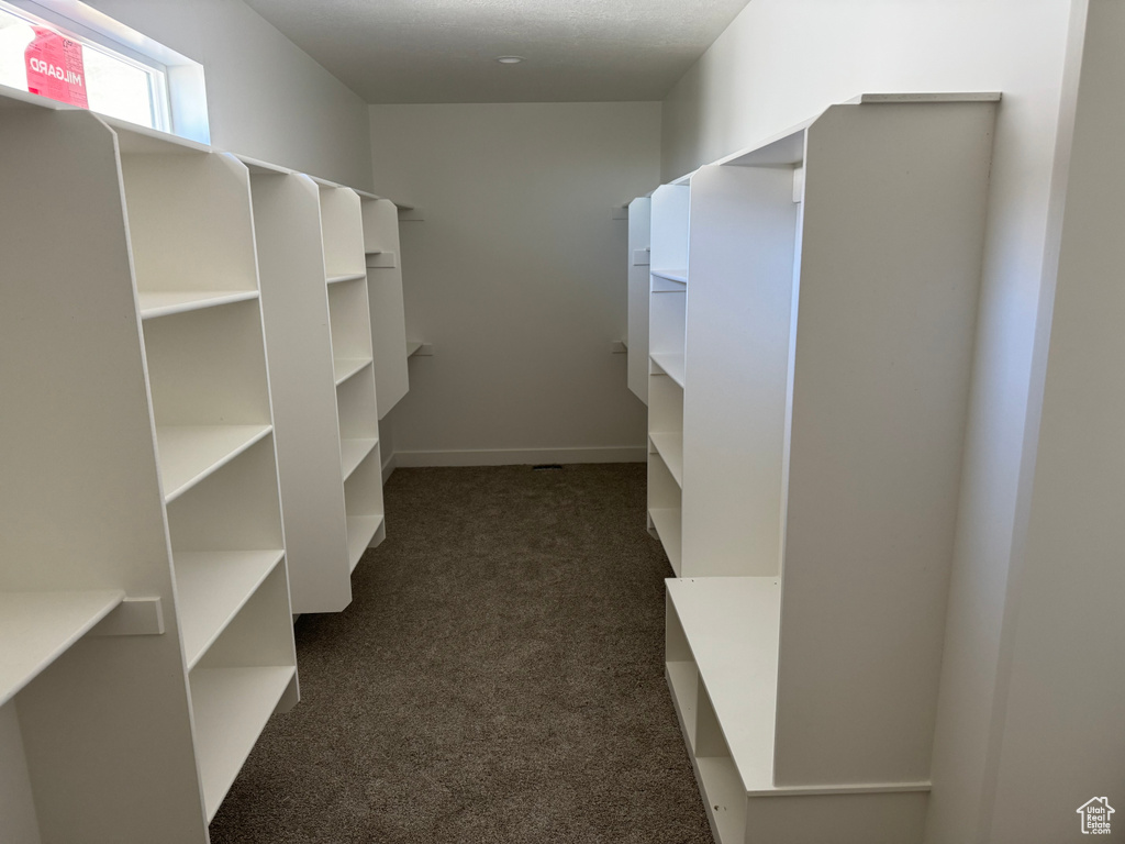 Spacious closet with dark carpet