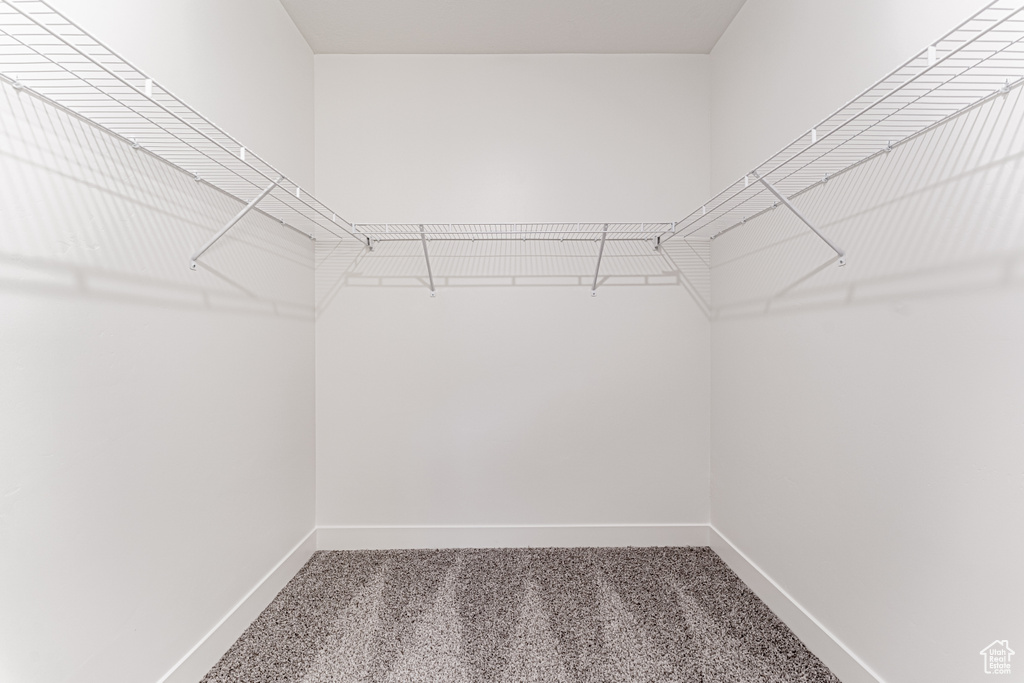 Walk in closet with carpet