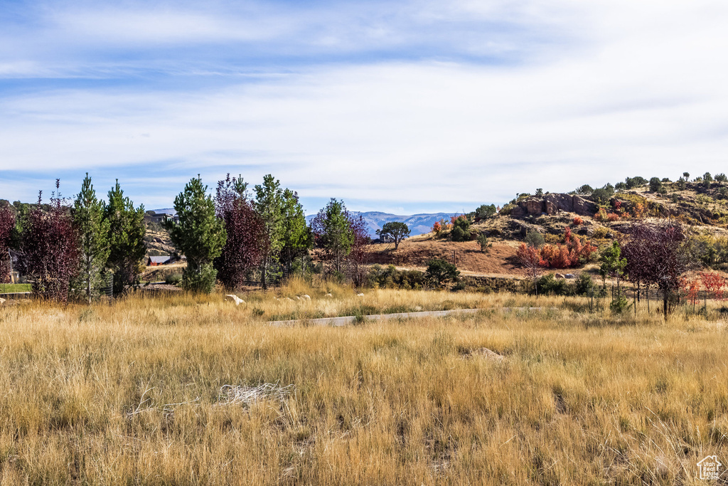 View of landscape