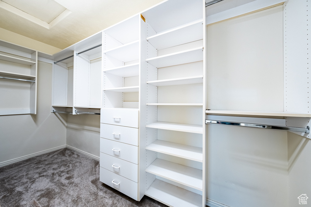 Walk in closet featuring dark colored carpet