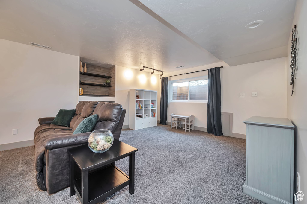 Carpeted living room featuring track lighting