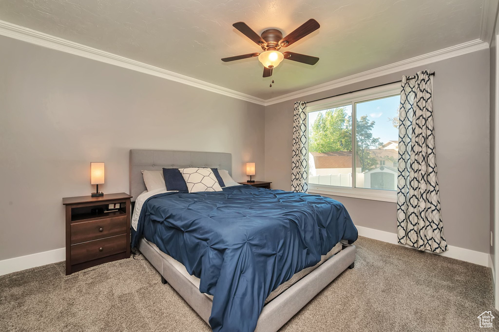 Bedroom with ornamental molding, carpet flooring, and ceiling fan