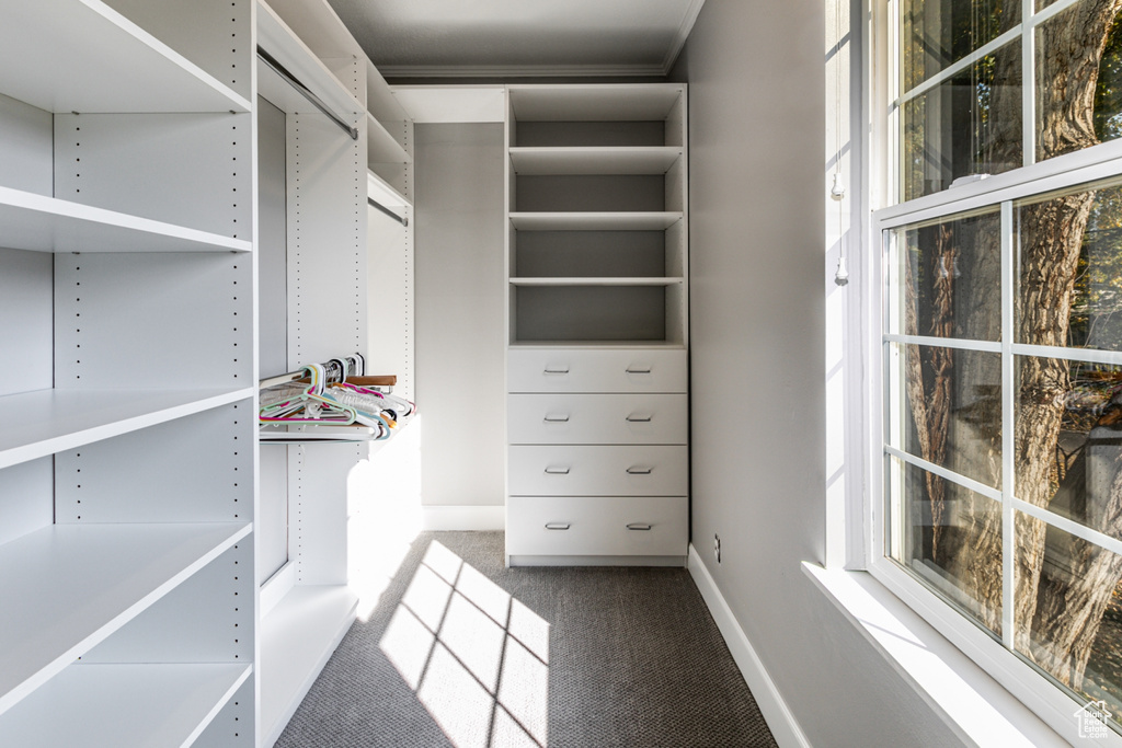 Walk in closet with carpet flooring