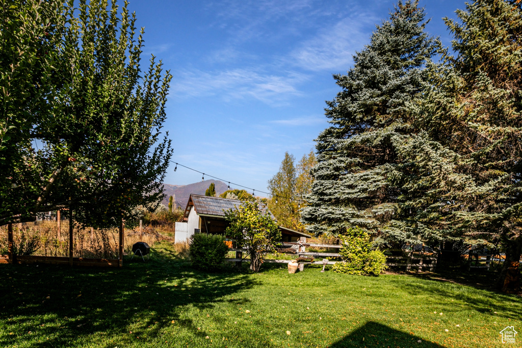 View of yard with a storage unit