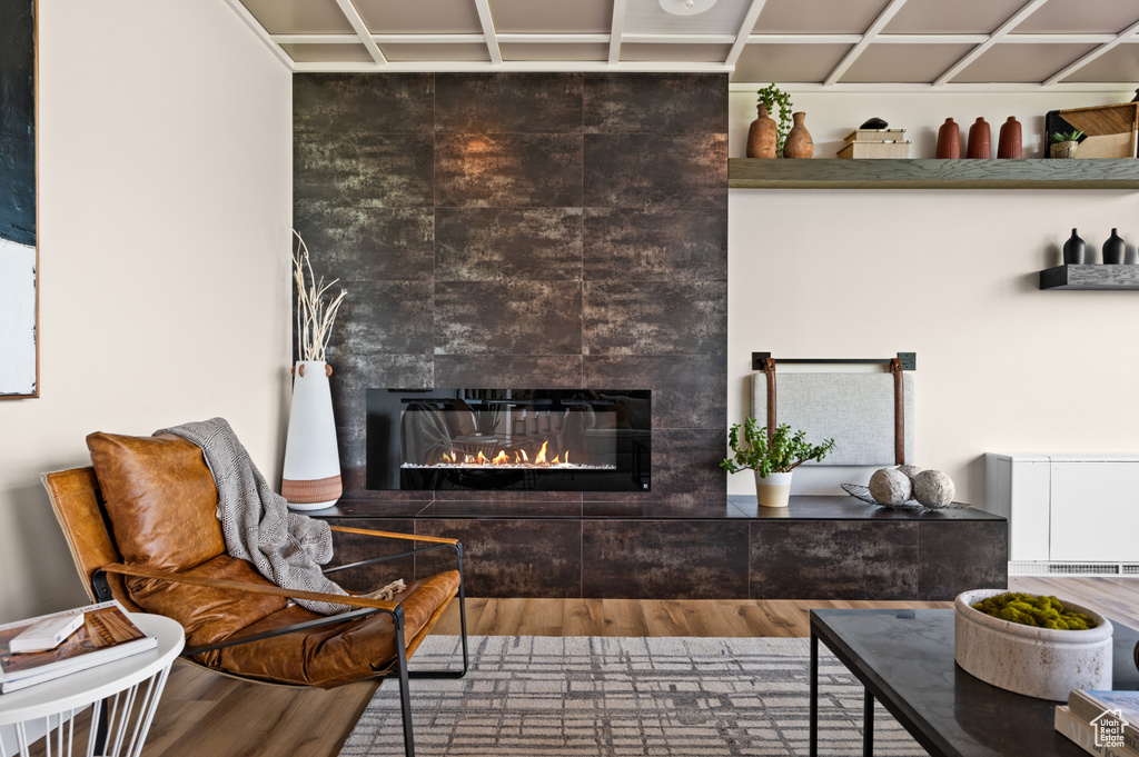 Living room featuring wood-type flooring and a fireplace