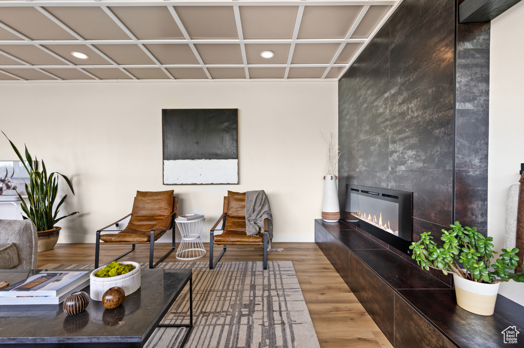 Living area with hardwood / wood-style flooring and a large fireplace