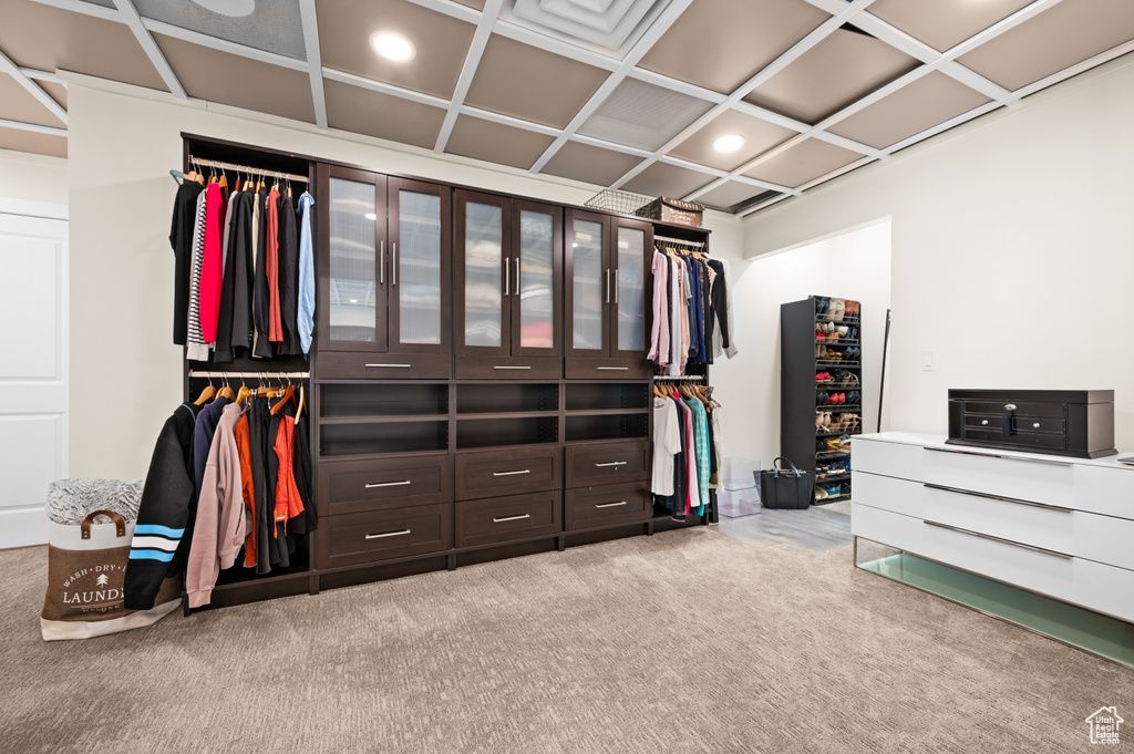 Walk in closet with carpet floors and coffered ceiling