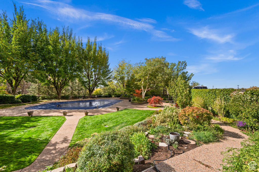 View of yard featuring a covered pool