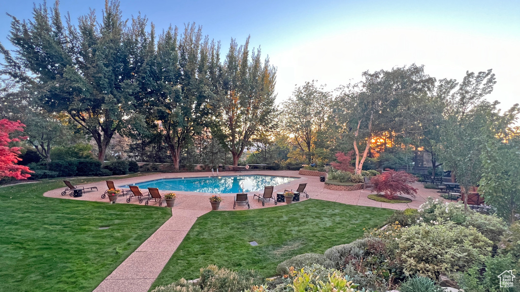 View of pool with a yard and a patio