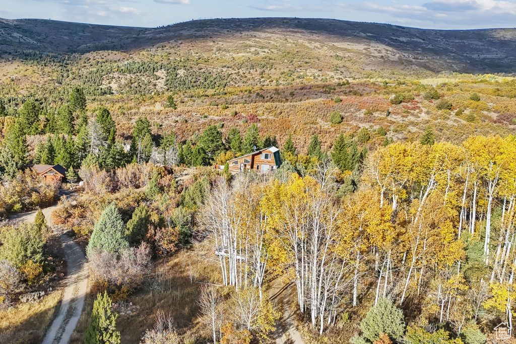 Birds eye view of property with a mountain view