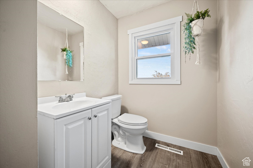 Bathroom featuring vanity, toilet, and hardwood / wood-style flooring