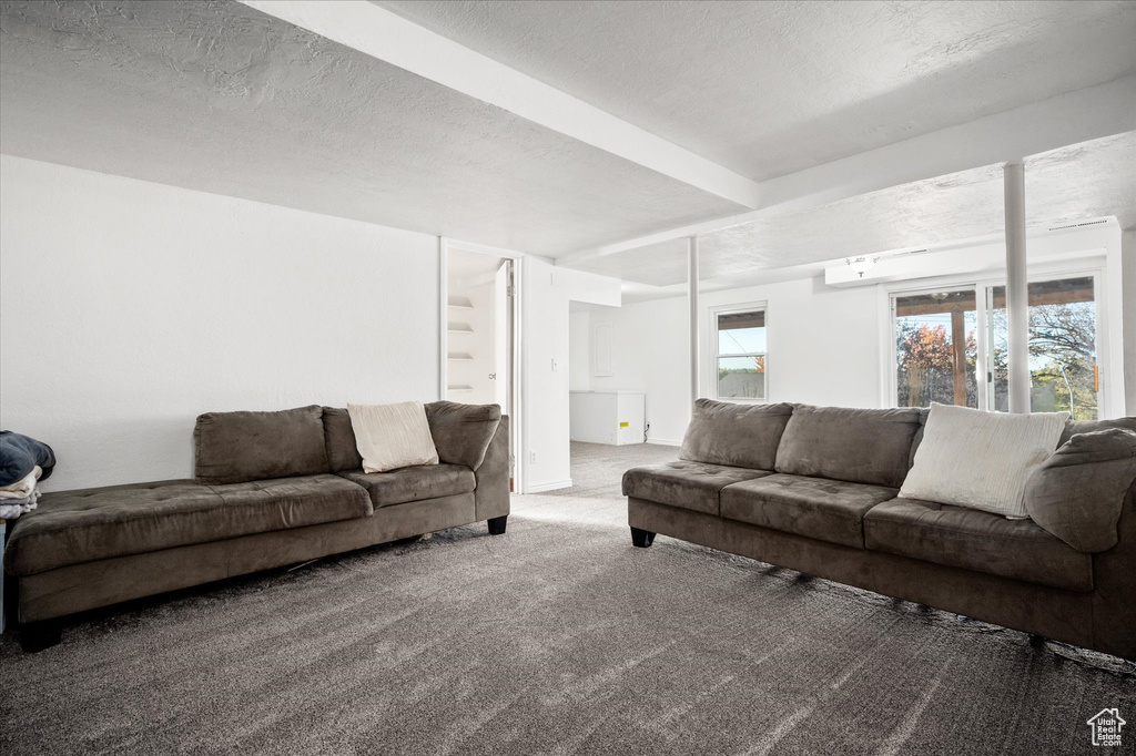 Carpeted living room with a textured ceiling