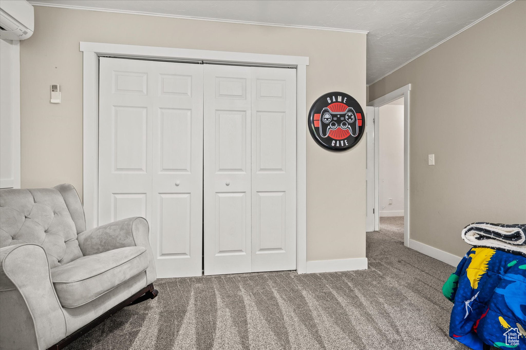 Living area with a wall mounted air conditioner and carpet floors