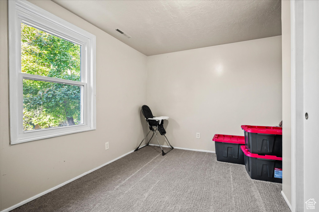 Miscellaneous room featuring a textured ceiling and carpet floors