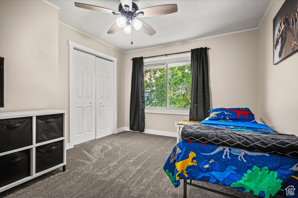 Carpeted bedroom with a closet, crown molding, and ceiling fan