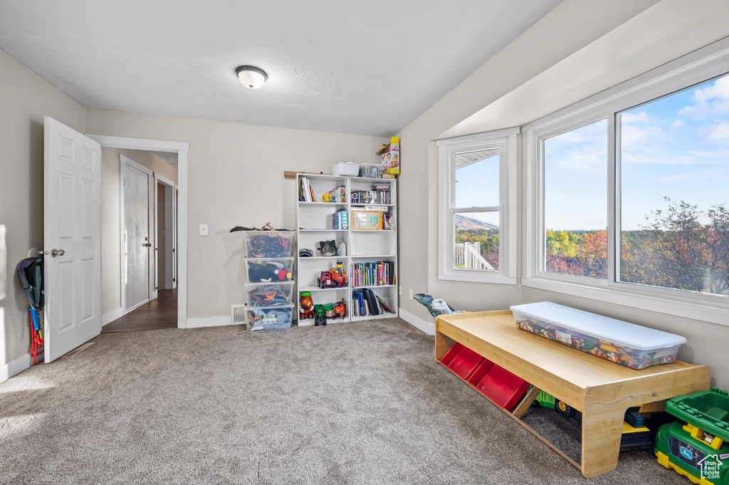 Game room featuring carpet flooring