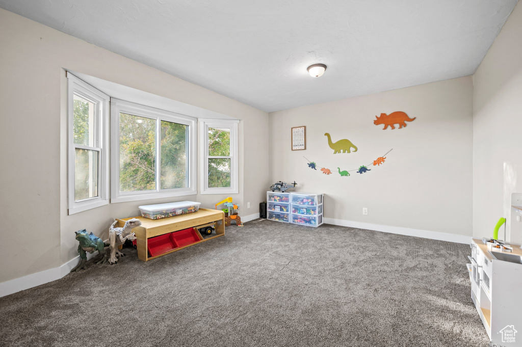 Recreation room with carpet flooring