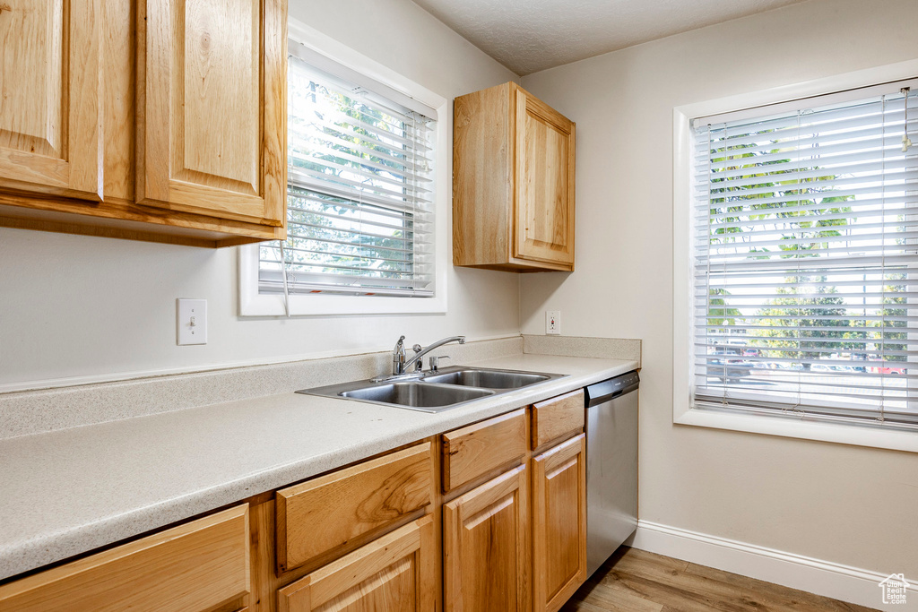 Kitchen with stainless steel dishwasher, sink, and light hardwood / wood-style floors