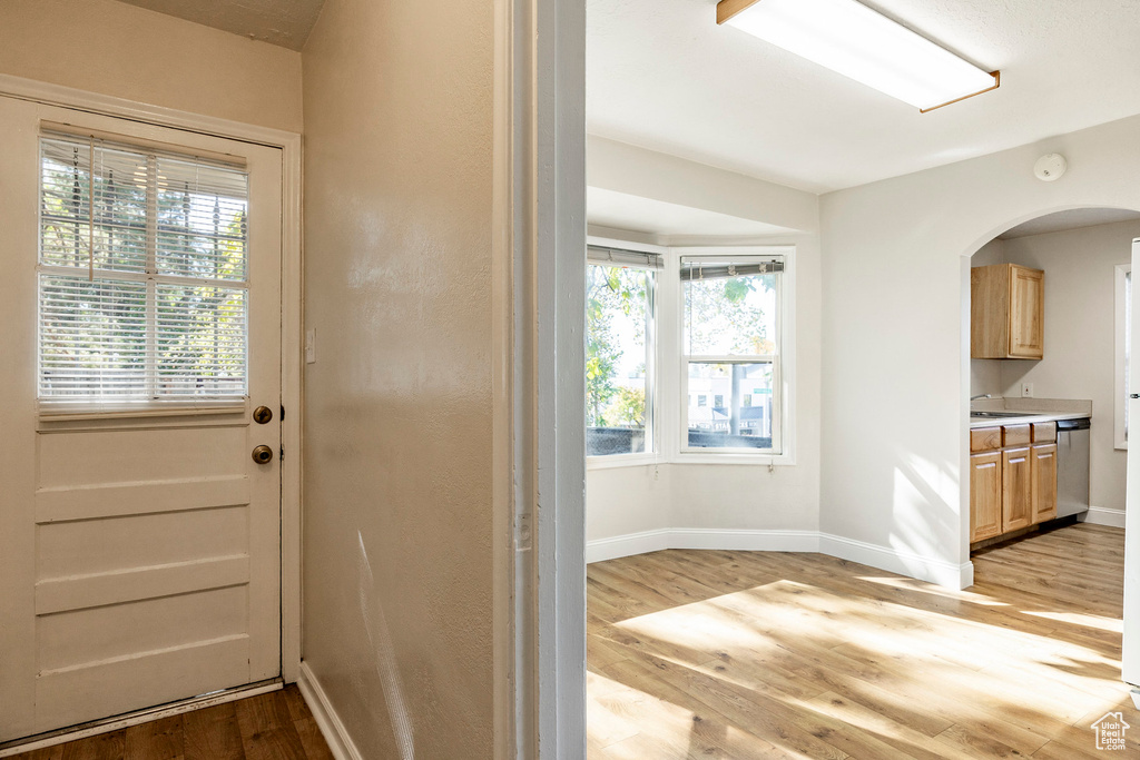 Doorway featuring light wood-type flooring, plenty of natural light, and sink