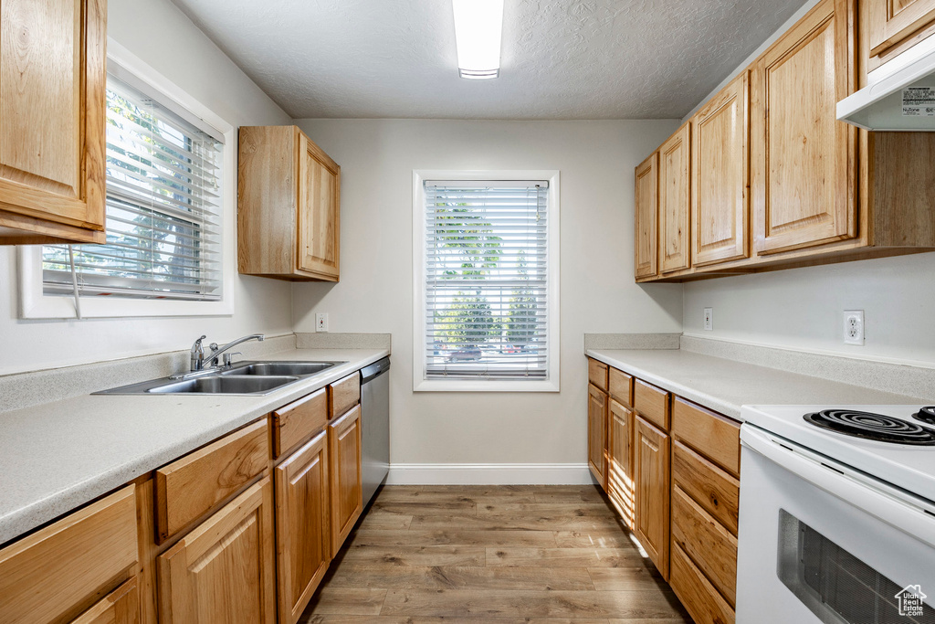 Kitchen featuring electric stove, stainless steel dishwasher, light hardwood / wood-style floors, and plenty of natural light