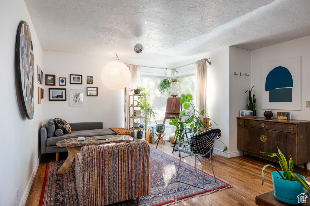 Living room with light hardwood / wood-style flooring and a textured ceiling