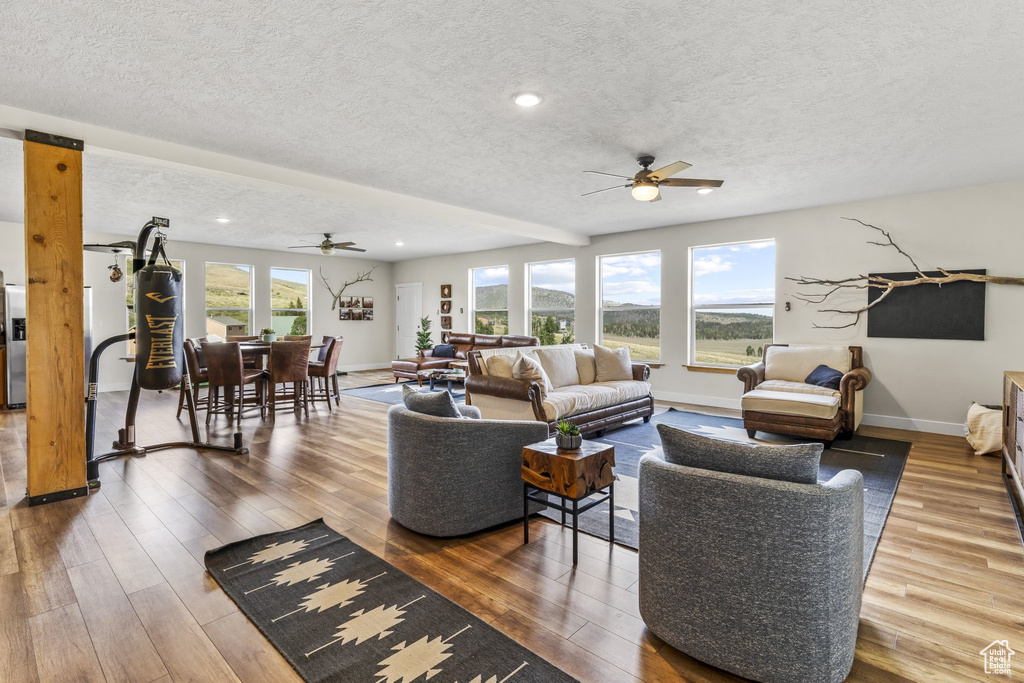 Living room with ceiling fan, a textured ceiling, plenty of natural light, and hardwood / wood-style floors