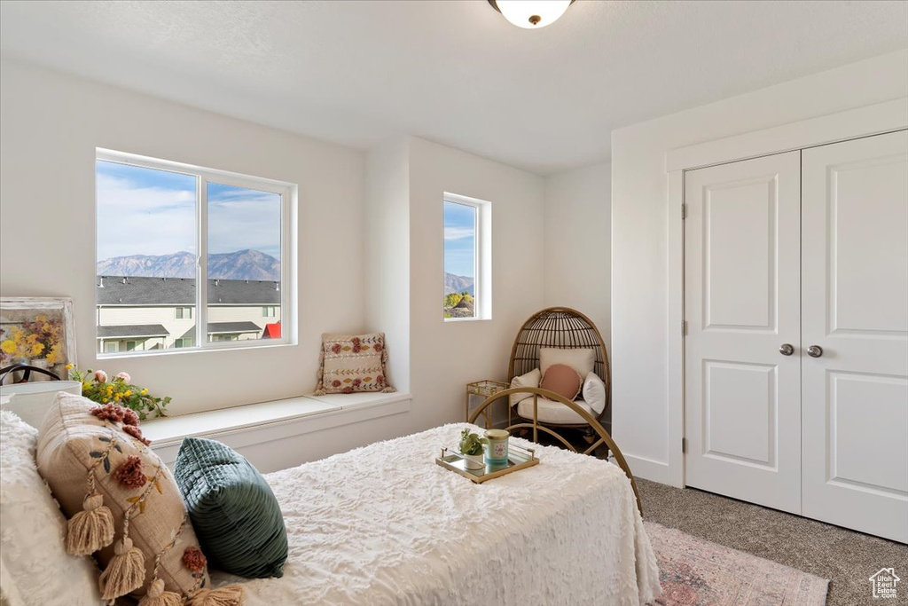 Bedroom with carpet, a mountain view, multiple windows, and a closet