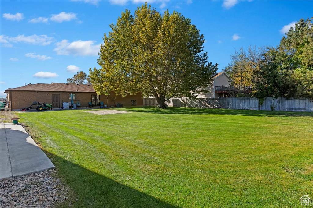 View of yard featuring a patio area