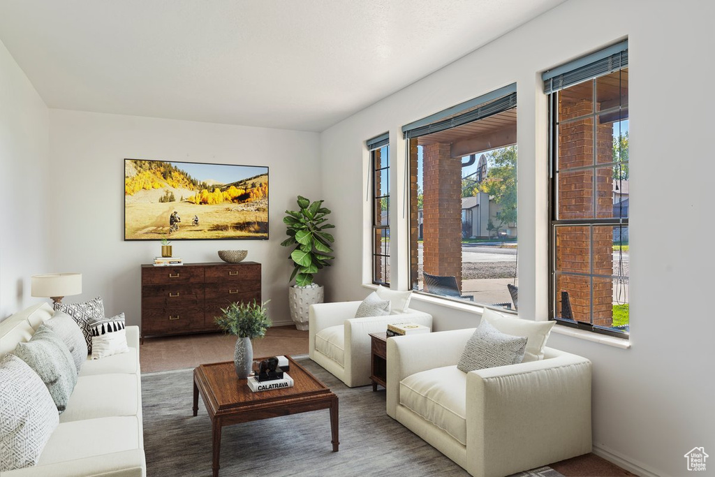 Living room featuring wood-type flooring