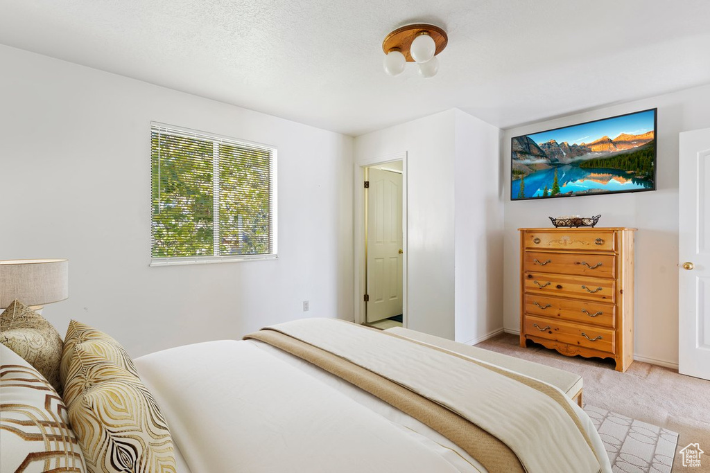 Carpeted bedroom with a textured ceiling