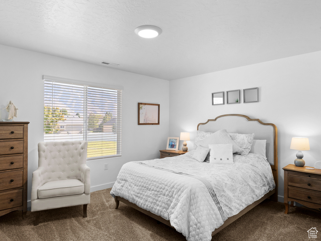 Bedroom with carpet flooring and a textured ceiling