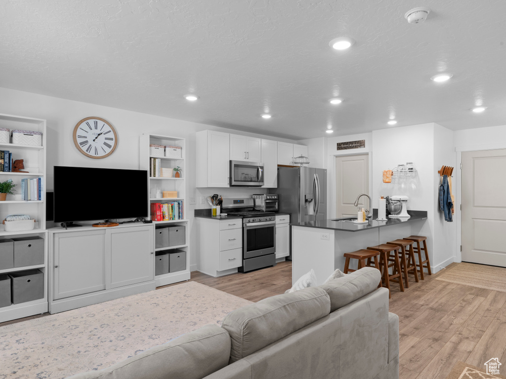 Living room with sink and light hardwood / wood-style floors