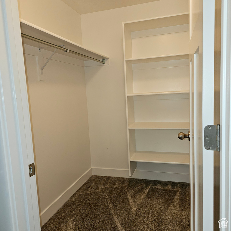 Walk in closet featuring dark carpet